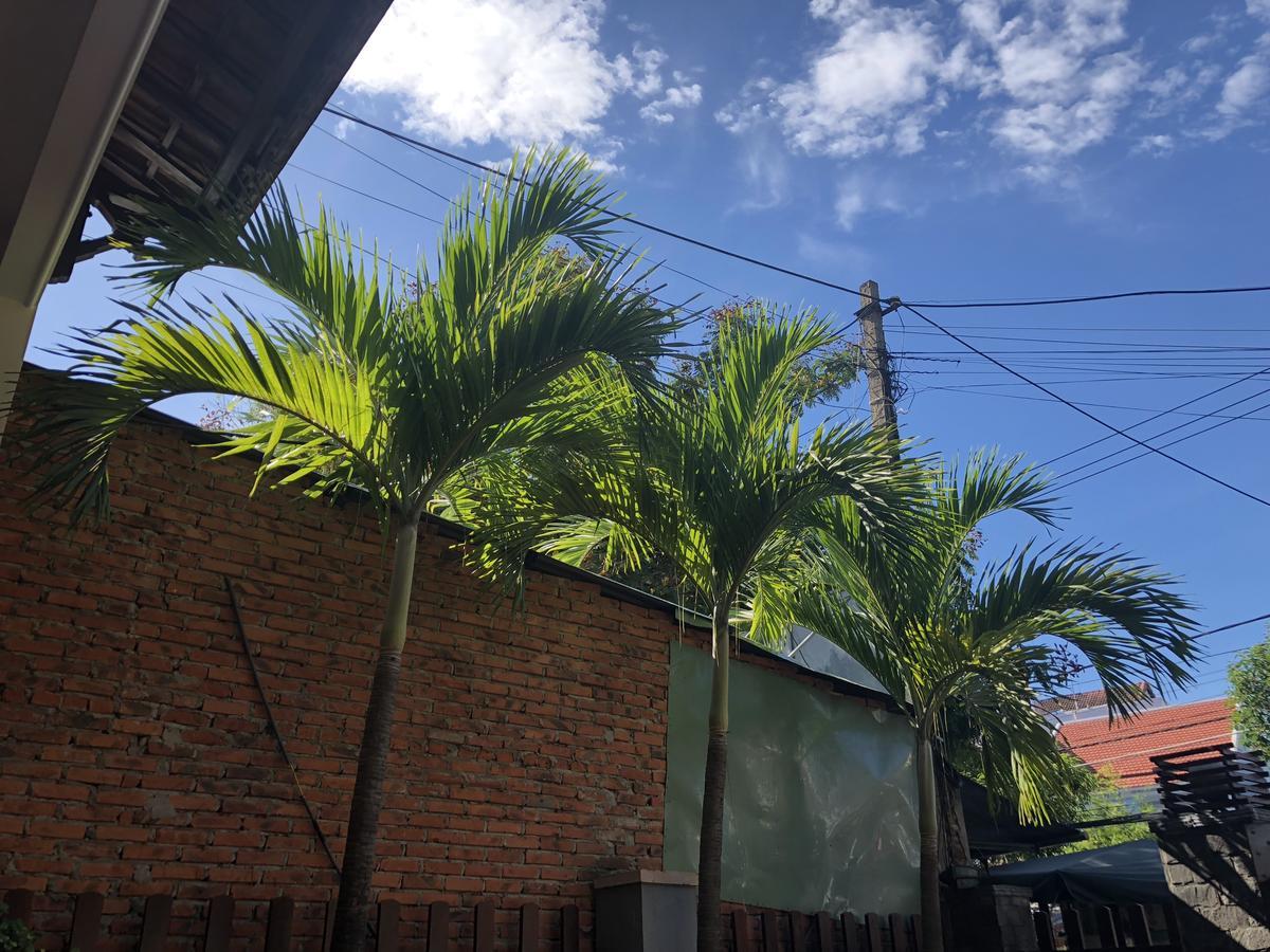 Three Palms Homestay Hoi An Esterno foto